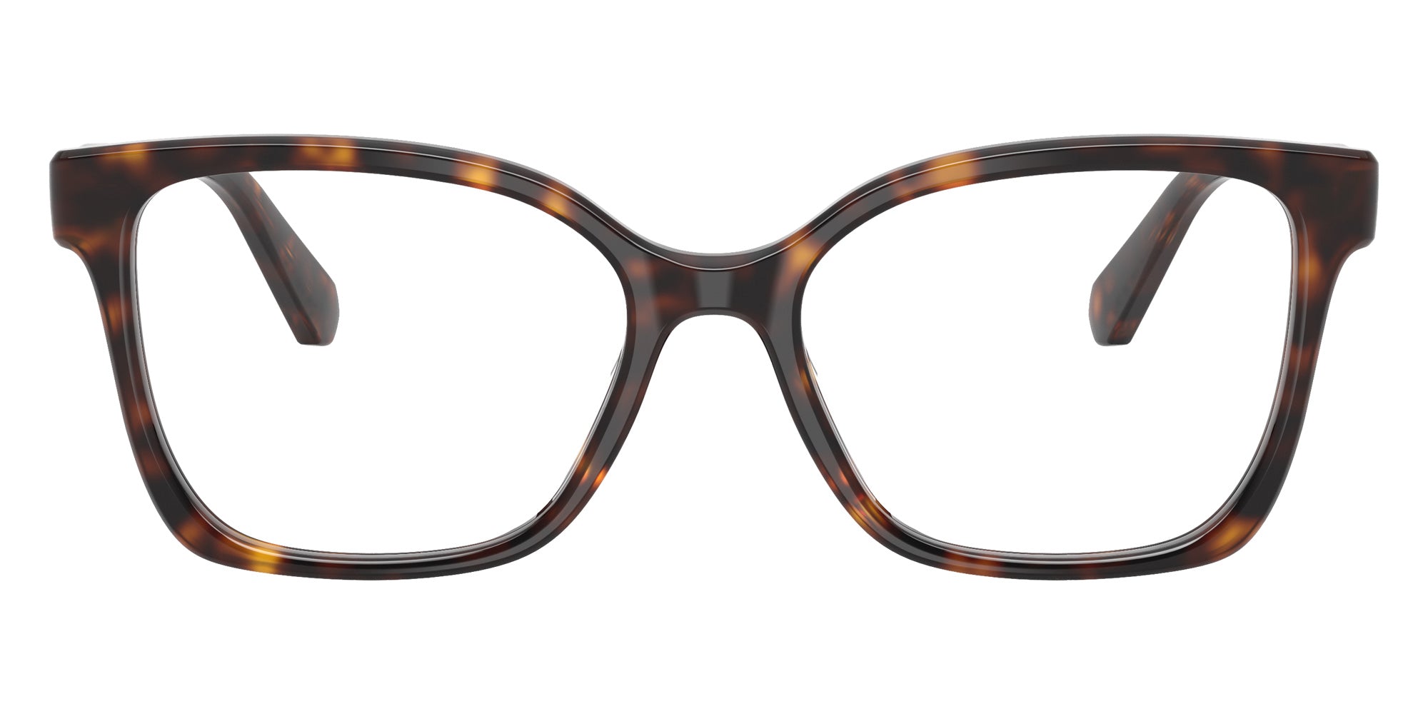 Swarovski SK2061F 1101 53 - Havana #id:sk2061f1101_s:104100