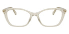 Swarovski SK2065 3003 52 - Beige #id:sk20653003_s:116100