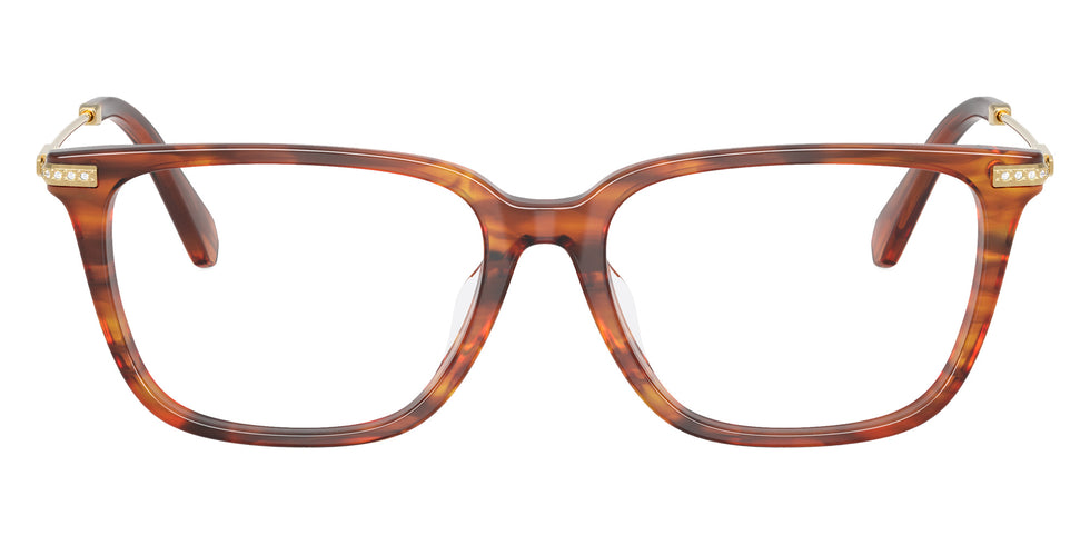Swarovski SK2067D 1091 53 - Striped Havana #id:sk2067d1091_s:102100