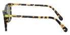 Swarovski SK6004F 1009/2 56 - Havana / Dark Green #id:sk6004f10092_s:102110