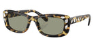 Swarovski SK6008 1009/2 54 - Medium Havana / Green #id:sk600810092_s:106105