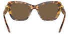 Swarovski SK6018F 104073 55 - Havana Media / Dark Brown #id:sk6018f104073_s:104115