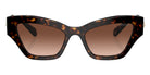 Swarovski SK6021 10023B 53 - Havana / Gradient Brown #id:sk602110023b_s:104100