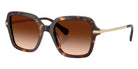Swarovski SK6040 100274 50 - Havana / Gradient Brown #id:sk6040100274_s:102105