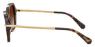 Swarovski SK6040 100274 50 - Havana / Gradient Brown #id:sk6040100274_s:102110