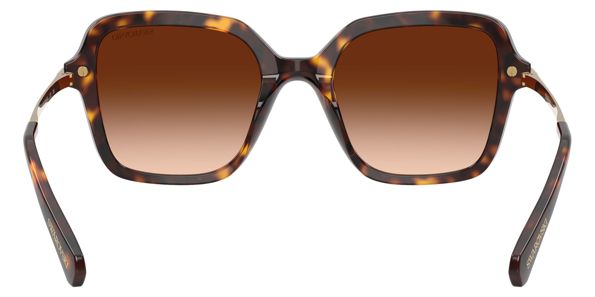 Swarovski SK6040 100274 50 - Havana / Gradient Brown #id:sk6040100274_s:102115