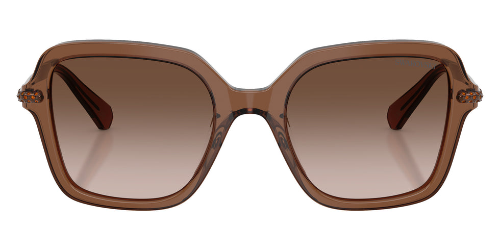 Swarovski SK6040 106713 50 - Transparent Brown / Brown Gradient #id:sk6040106713_s:106100
