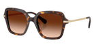 Swarovski SK6040F 100274 52 - Havana / Gradient Brown #id:sk6040f100274_s:102105