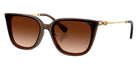Swarovski SK6054D 108474 63 - Transparent Brown / Gradient Brown #id:sk6054d108474_s:104105