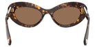 Swarovski SK6061U 100273 51 - Havana #id:sk6061u100273_s:102115