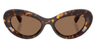 Swarovski SK6061U 100273 51 - Havana #id:sk6061u100273_s:102100