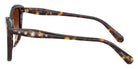 Swarovski SK6063 100274 54 - Havana #id:sk6063100274_s:102110