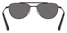 Swarovski SK7007 401081 53 - Black / Dark Gray Polarized #id:sk7007401081_s:102115