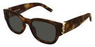 Saint Laurent SL M174 003 53 - Havana / Gray #id:slm174003_s:102105