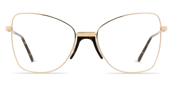 Gold/Brown B / 56-19-140