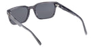 Timberland TB00099 64D 56 - Blue/Horn / Smoke Polarized #id:tb0009964d_s:106115