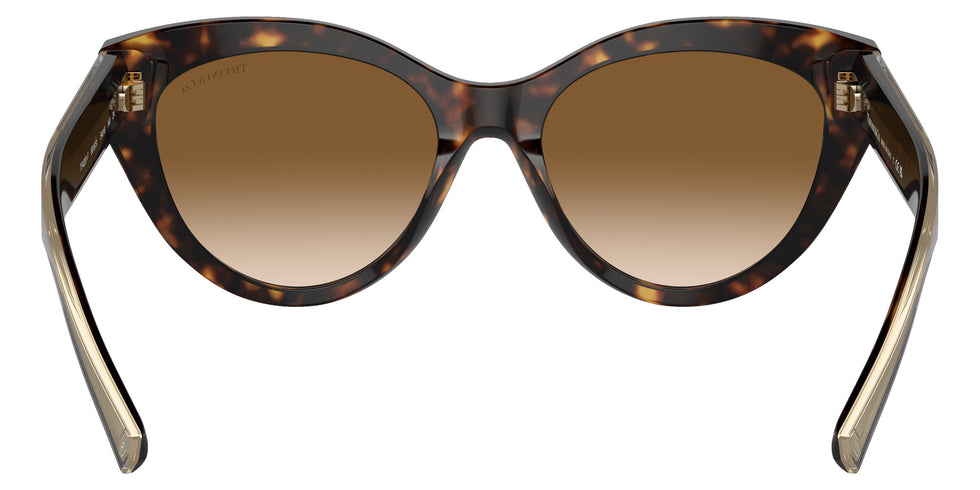 TIFFANY TF4220F 801551 54 - Havana / Clear Gradient Brown #id:tf4220f801551_s:102115