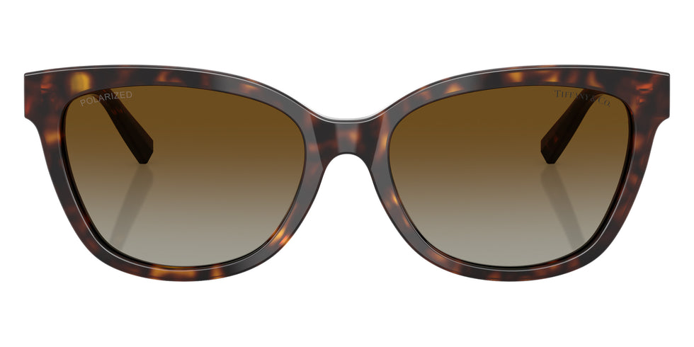 TIFFANY TF4237B 8015T5 55 - Havana / Polarized Brown Gradient #id:tf4237b8015t5_s:102100