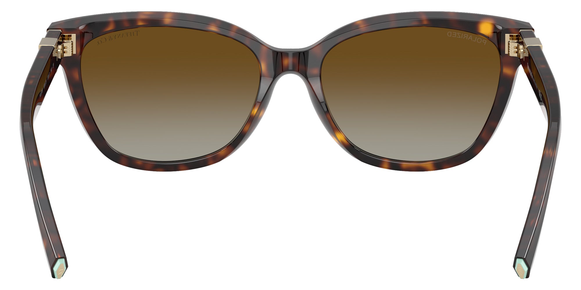 TIFFANY TF4237B 8015T5 55 - Havana / Polarized Brown Gradient #id:tf4237b8015t5_s:102115