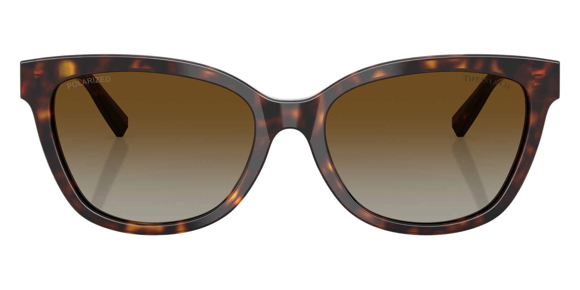 ティファニー　サングラス　TF4237BF ブラウン アジアンフィット TIFFANY TF4237BF Cat-Eye Sunglasses | EyeOns.com