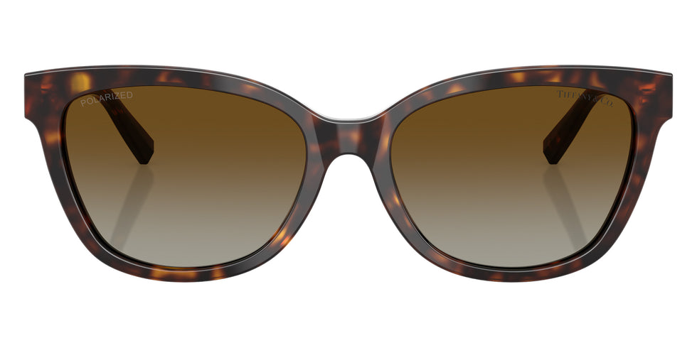 TIFFANY TF4237BF 8015T5 55 - Havana / Polarized Brown Gradient #id:tf4237bf8015t5_s:104100