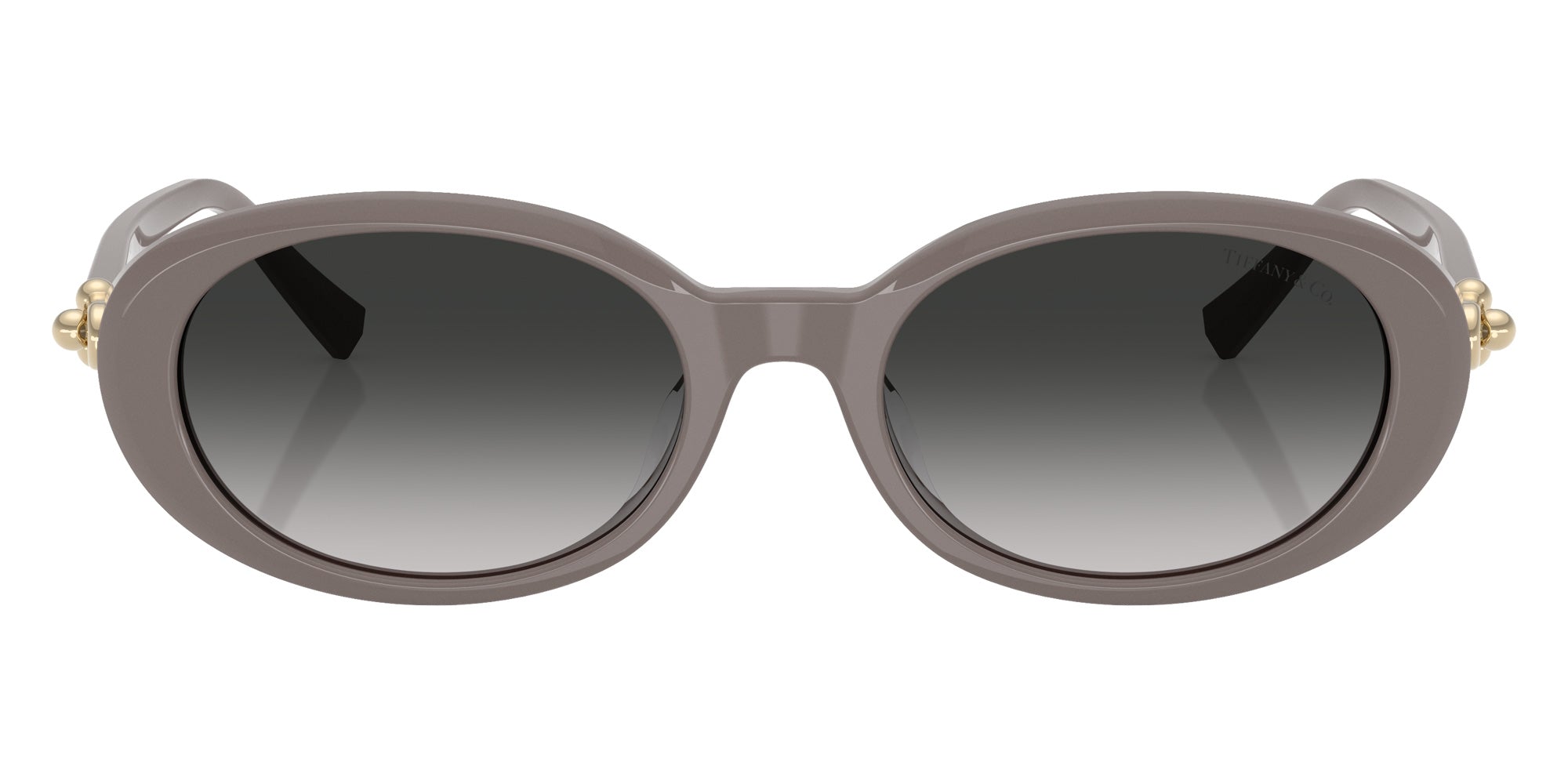 TIFFANY TF4242D 84013C 54 - Chocolate Truffle / Gray Gradient #id:tf4242d84013c_s:106100