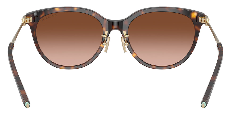 TIFFANY TF4243D 80153B 55 - Havana / Brown Gradient #id:tf4243d80153b_s:102115