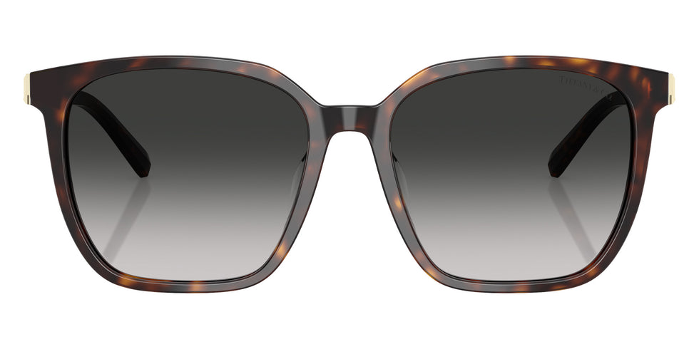 TIFFANY TF4244D 80153C 56 - Havana / Gray Gradient #id:tf4244d80153c_s:102100