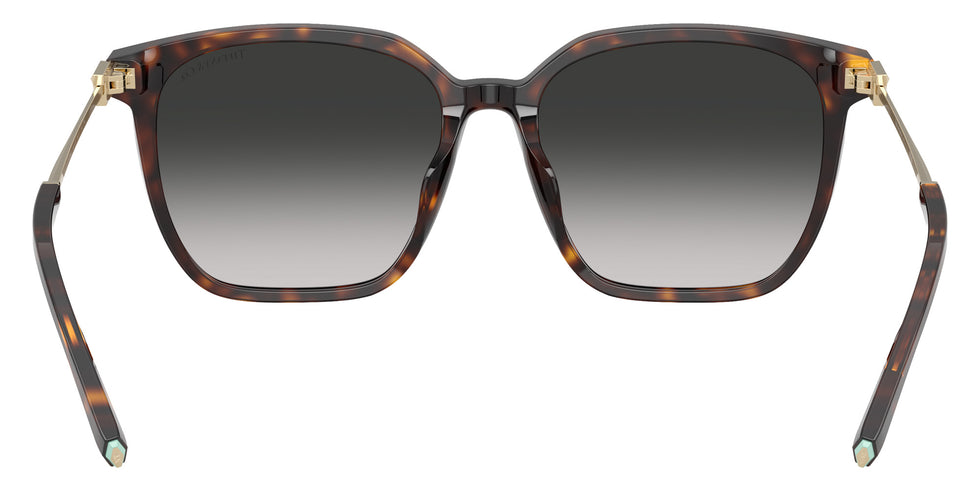 TIFFANY TF4244D 80153C 56 - Havana / Gray Gradient #id:tf4244d80153c_s:102115