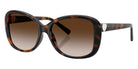 TIFFANY TF4257U 80153B 56 - Havana #id:tf4257u80153b_s:102105