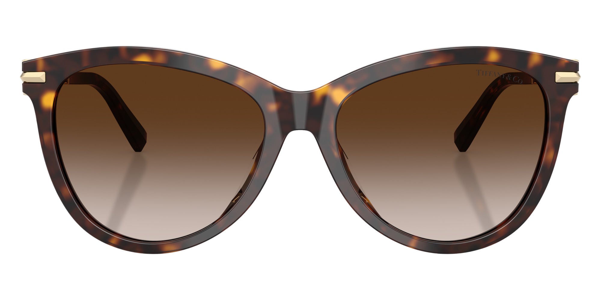 TIFFANY TF4258BU 80153B 57 - Havana #id:tf4258bu80153b_s:102100