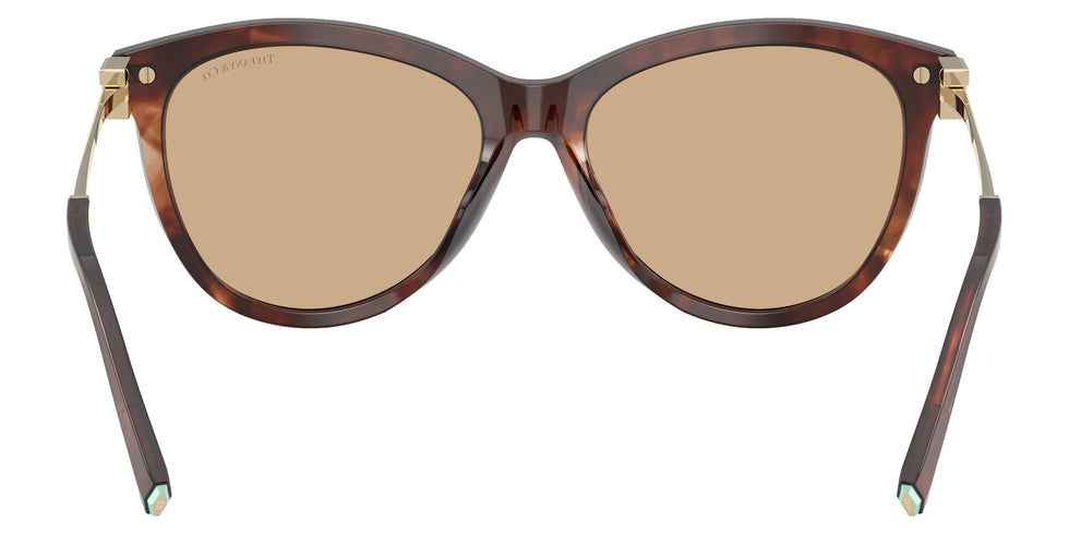 TIFFANY TF4258BU 8421/8 57 - Spotted Brown Havana #id:tf4258bu84218_s:104115