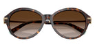 TIFFANY TF4259 80153B 56 - Havana #id:tf425980153b_s:102120