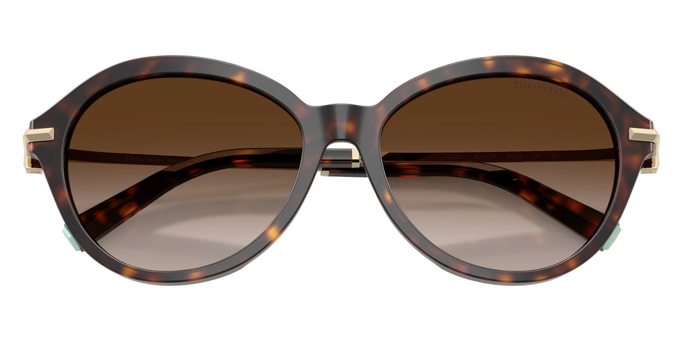 TIFFANY TF4259 80153B 56 - Havana #id:tf425980153b_s:102120