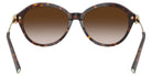 TIFFANY TF4259 80153B 56 - Havana #id:tf425980153b_s:102115