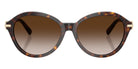 TIFFANY TF4259 80153B 56 - Havana #id:tf425980153b_s:102100