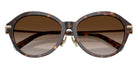 TIFFANY TF4259F 80153B 56 - Havana #id:tf4259f80153b_s:102120