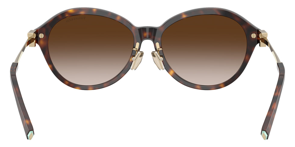 TIFFANY TF4259F 80153B 56 - Havana #id:tf4259f80153b_s:102115