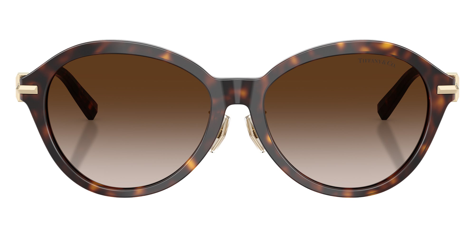 TIFFANY TF4259F 80153B 56 - Havana #id:tf4259f80153b_s:102100