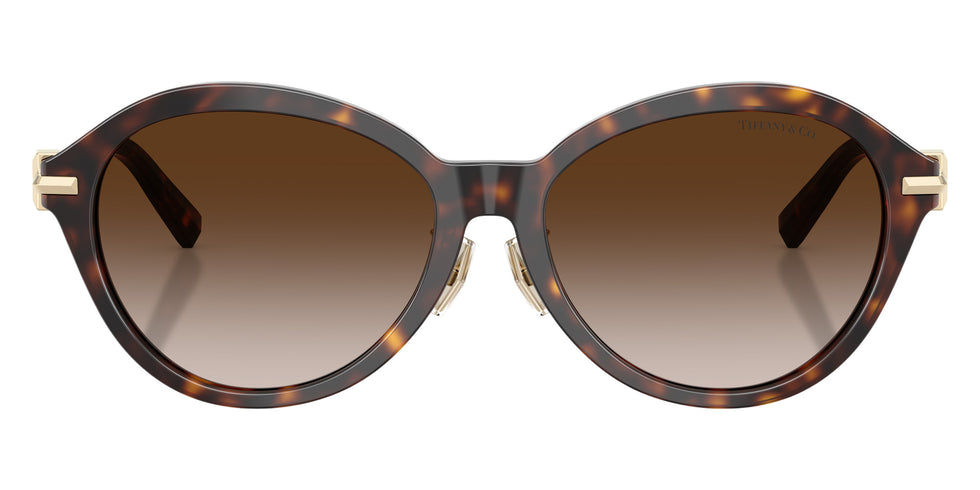 TIFFANY TF4259F 80153B 56 - Havana #id:tf4259f80153b_s:102100