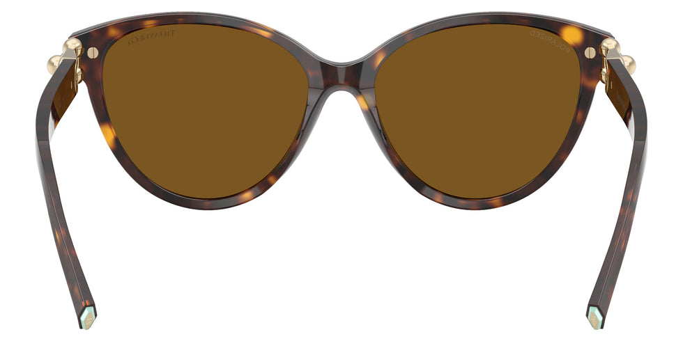 TIFFANY TF4261 801583 56 - Havana #id:tf4261801583_s:102115