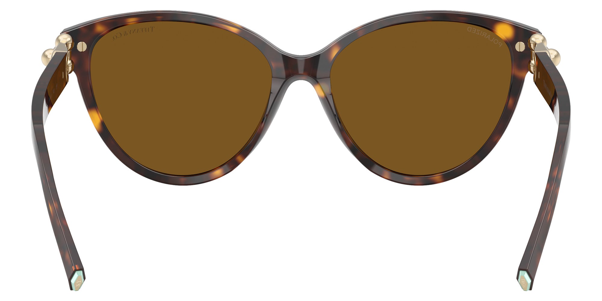 TIFFANY TF4261F 801583 56 - Havana #id:tf4261f801583_s:102115