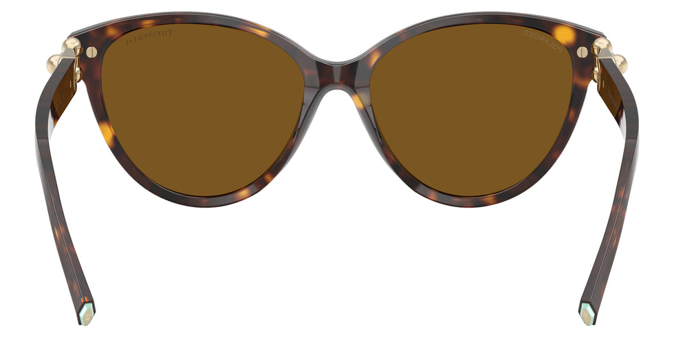 TIFFANY TF4261F 801583 56 - Havana #id:tf4261f801583_s:102115