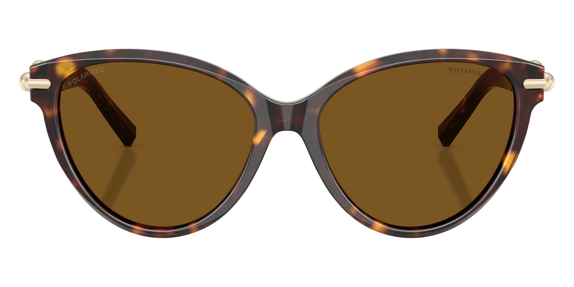 TIFFANY TF4261F 801583 56 - Havana #id:tf4261f801583_s:102100