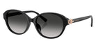 TIFFANY TF4263D 80013C 54 - Black #id:tf4263d80013c_s:100105