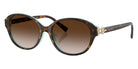 TIFFANY TF4263D 81343B 54 - Havana on Tiffany Blue #id:tf4263d81343b_s:106105