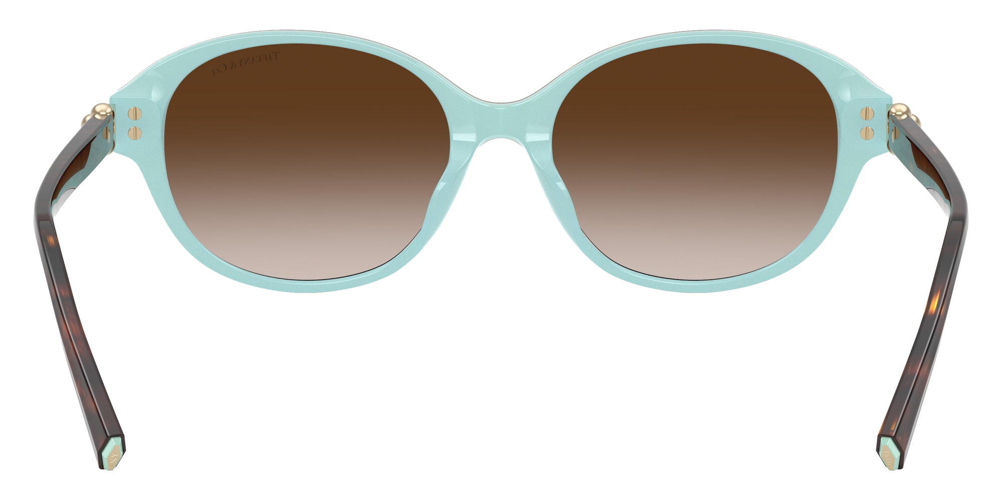 TIFFANY TF4263D 81343B 54 - Havana on Tiffany Blue #id:tf4263d81343b_s:106115