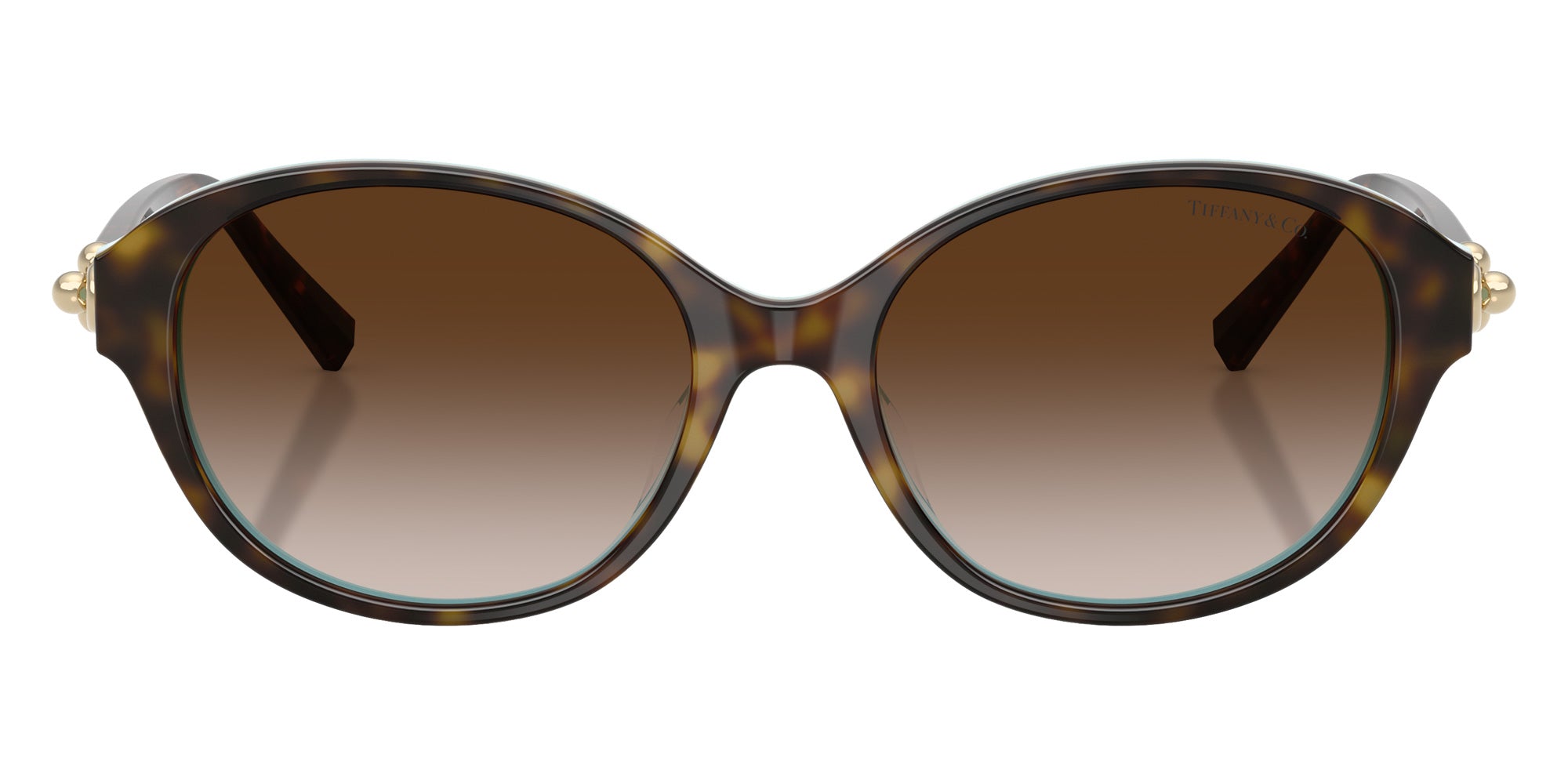 TIFFANY TF4263D 81343B 54 - Havana on Tiffany Blue #id:tf4263d81343b_s:106100