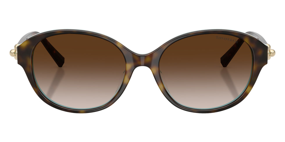 TIFFANY TF4263D 81343B 54 - Havana on Tiffany Blue #id:tf4263d81343b_s:106100
