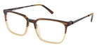 TLG NU097 C02 56 - Brown #id:tlglynu09702_s:102100